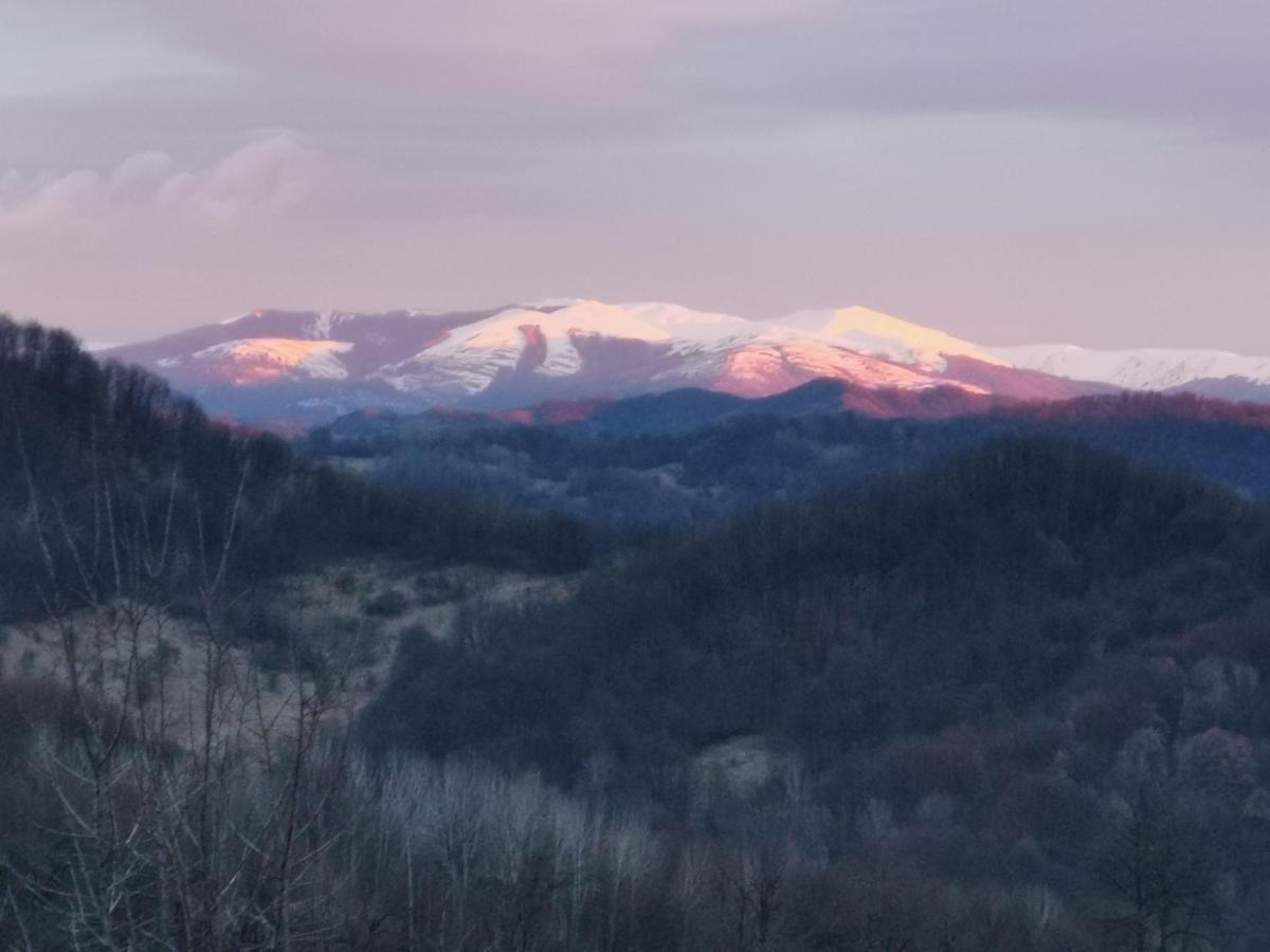 Vila Cabanuta Fara Fite Provita de Jos Exteriér fotografie