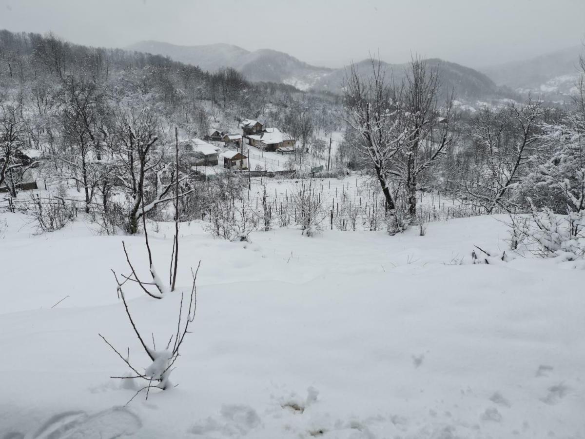 Vila Cabanuta Fara Fite Provita de Jos Exteriér fotografie