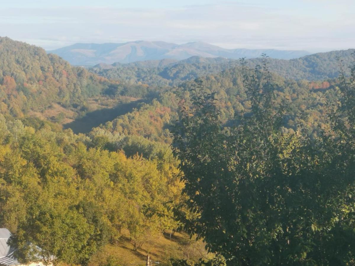 Vila Cabanuta Fara Fite Provita de Jos Exteriér fotografie