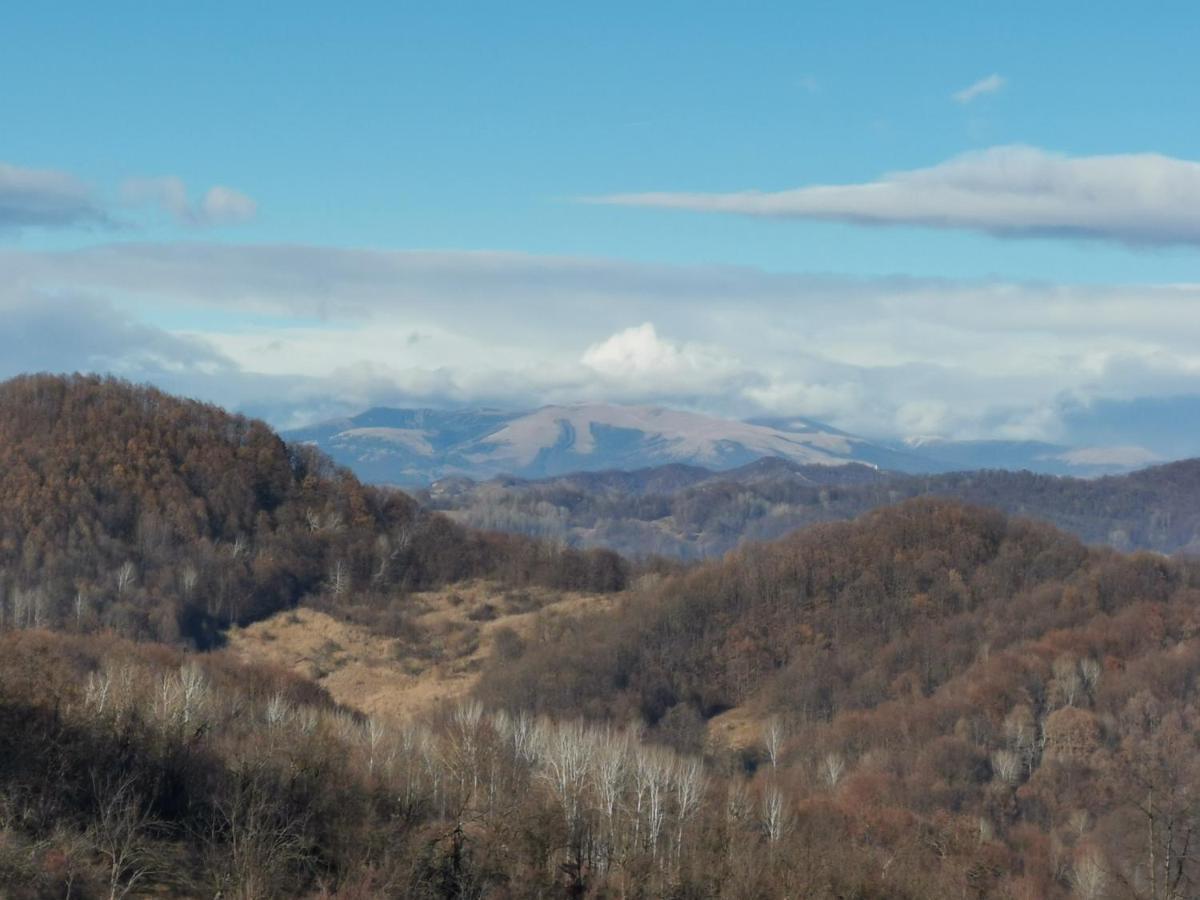 Vila Cabanuta Fara Fite Provita de Jos Exteriér fotografie